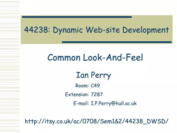 44238 dynamic web site development