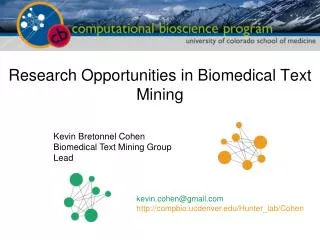 Research Opportunities in Biomedical Text Mining