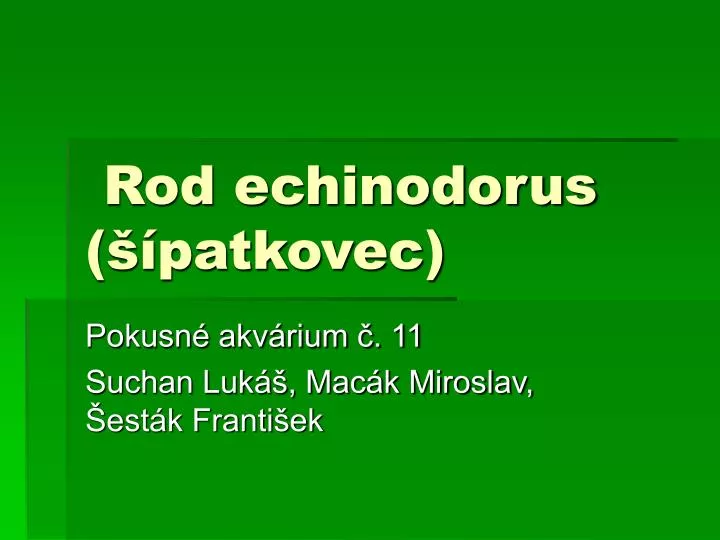 rod echinodorus patkovec