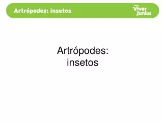 Artrópodes: insetos