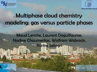 Multiphase cloud chemistry modeling: gas versus particle phases
