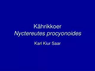 Kährikkoer Nyctereutes procyonoides