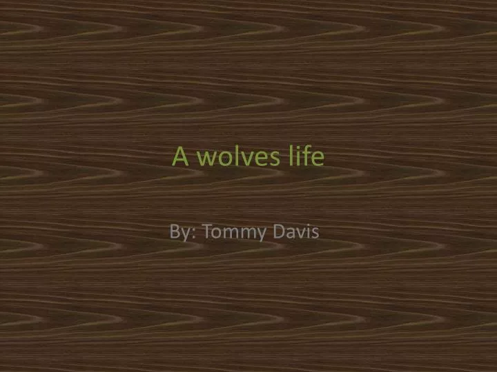 a wolves life