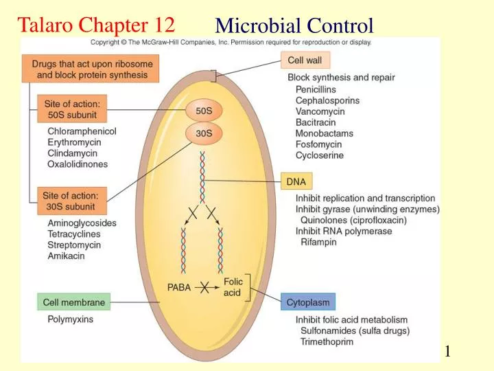 microbial control