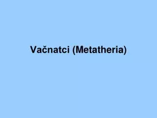 Vačnatci ( Metatheria )