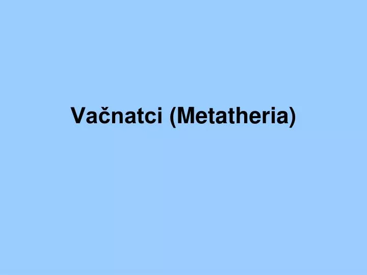 va natci metatheria