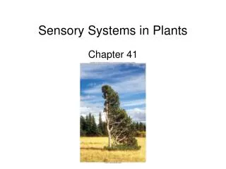 Sensory Systems in Plants