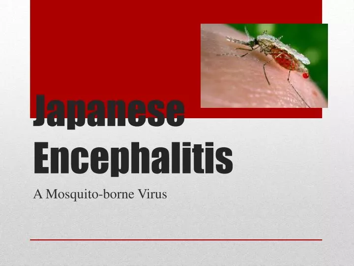 japanese encephalitis