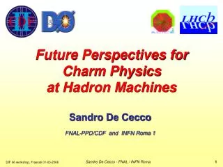 Future Perspectives for Charm Physics at Hadron Machines