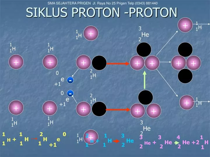 siklus proton proton