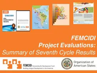 FEMCIDI Project Evaluations: Summary of Seventh Cycle Results