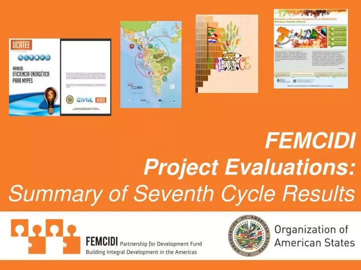 femcidi project evaluations summary of seventh cycle results