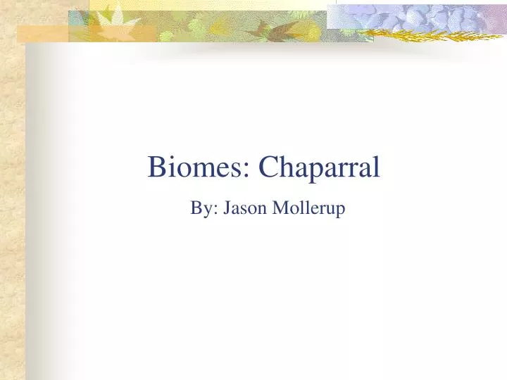 biomes chaparral by jason mollerup