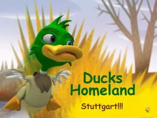 Ducks Homeland