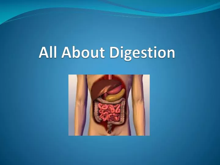 all about digestion