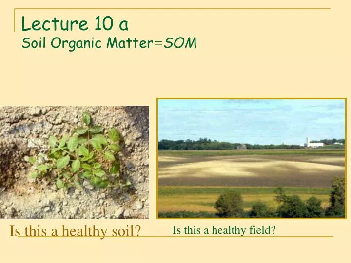 lecture 10 a soil organic matter som