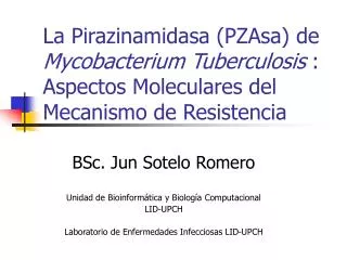 BSc. Jun Sotelo Romero Unidad de Bioinformática y Biología Computacional LID-UPCH