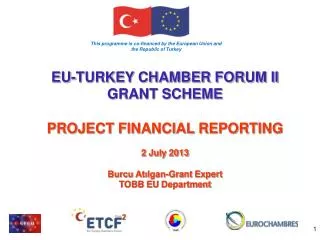 EU-TURKEY CHAMBER FORUM II GRANT SCHEME PROJECT FINANCIAL REPORTING 2 July 2013