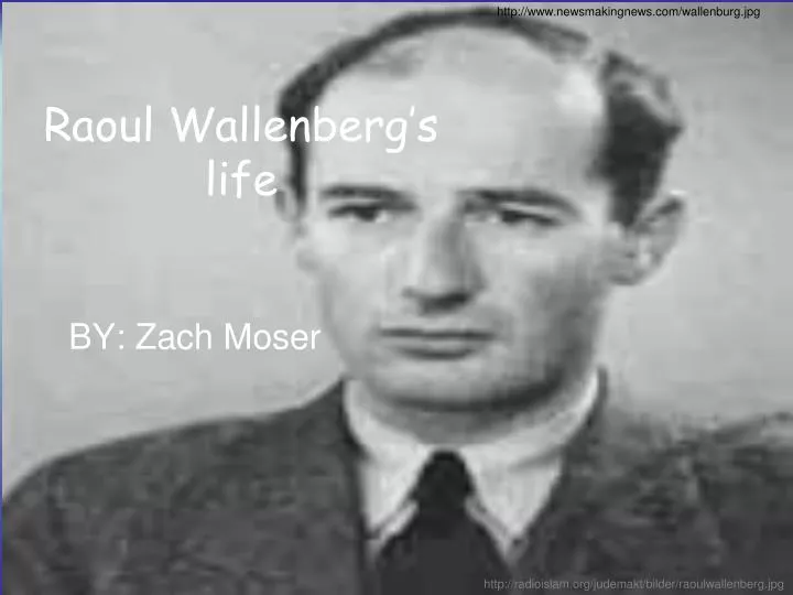 raoul wallenberg s life
