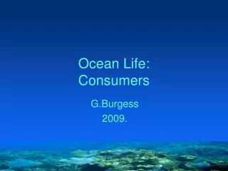 Ocean Life: Consumers
