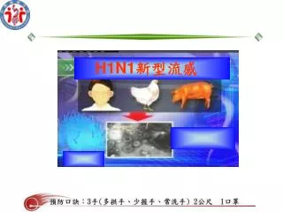 H1N1 新型流感