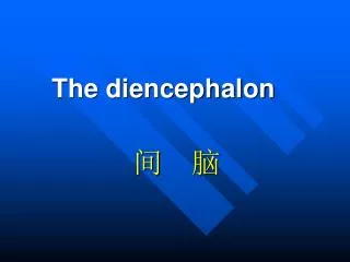 The diencephalon
