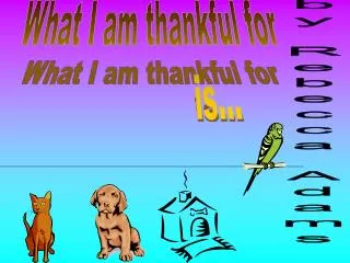 What I am thankful for is...