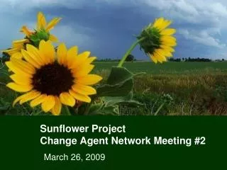 Sunflower Project Change Agent Network Meeting #2