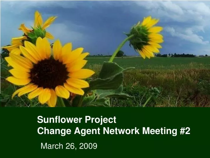 sunflower project change agent network meeting 2