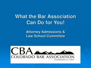 What the Bar Association Can Do for You! Attorney Admissions &amp; Law School Committee