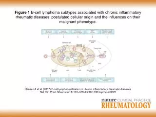 Hansen A et al . (2007) B-cell lymphoproliferation in chronic inflammatory rheumatic diseases