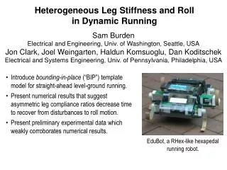 Heterogeneous Leg Stiffness and Roll in Dynamic Running