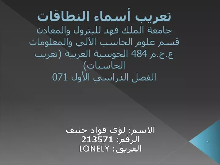 213571 lonely