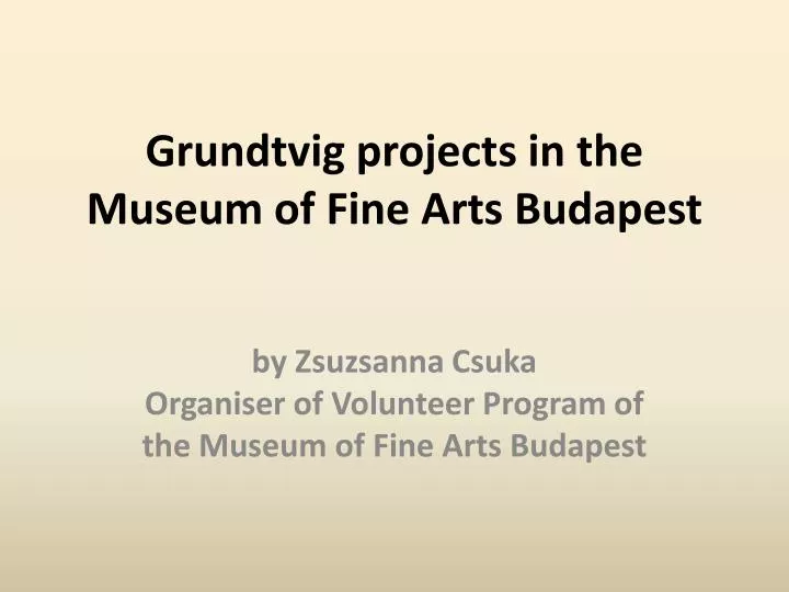 grundtvig projects in the museum of fine arts budapest