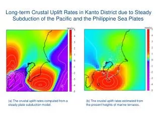 Long-term Crustal Uplift Rates in Kanto District due to Steady
