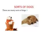 SORTS OF DOGS