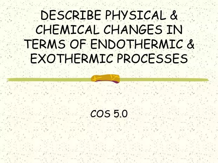 describe physical chemical changes in terms of endothermic exothermic processes
