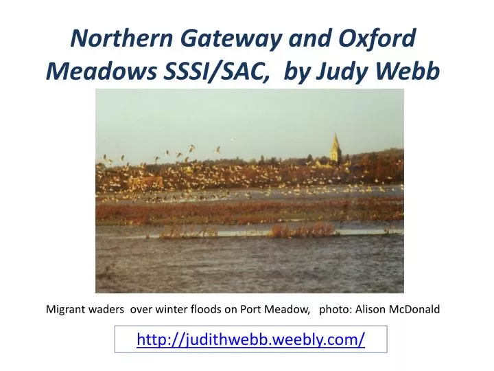 northern gateway and oxford meadows sssi sac by judy webb