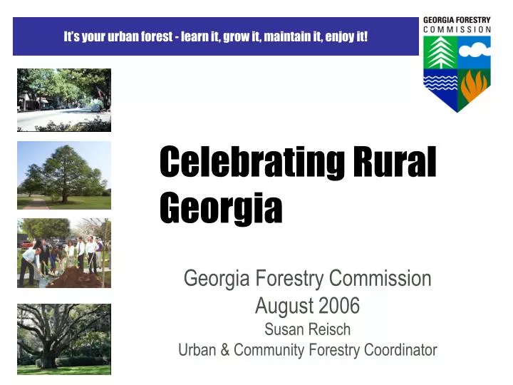 celebrating rural georgia