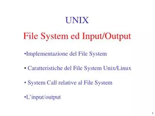 File System ed Input/Output