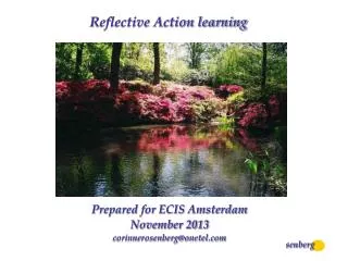 Reflective Action learning