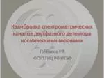 Калибровка спектрометрических каналов двухфазного детектора космическими мюонами - slide 1
