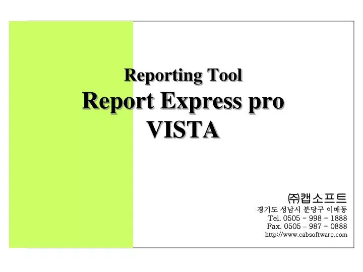 reporting tool report express pro vista