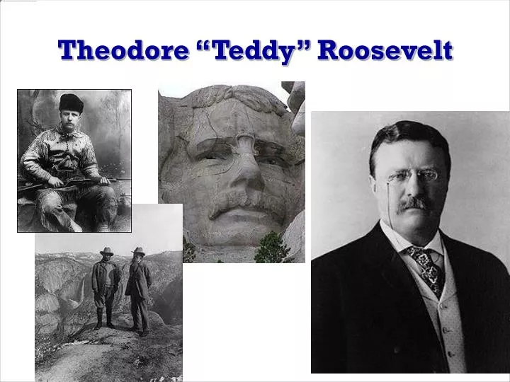 theodore teddy roosevelt