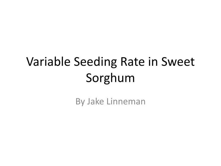 variable seeding rate in sweet sorghum