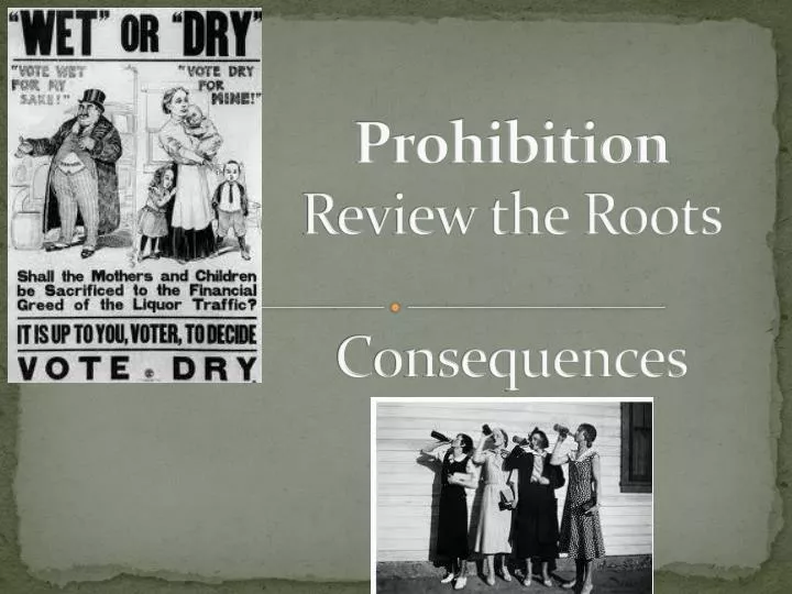 prohibition review the roots consequences