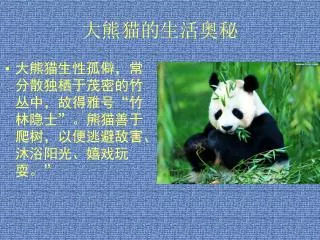 大熊猫的生活奥秘