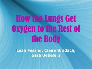 How the Lungs Get Oxygen to the Rest of the Body