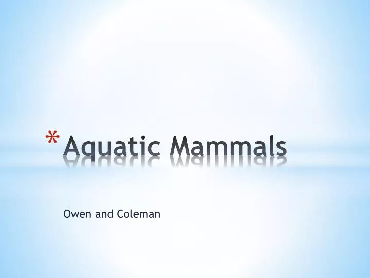 aquatic mammals