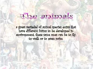 The animals